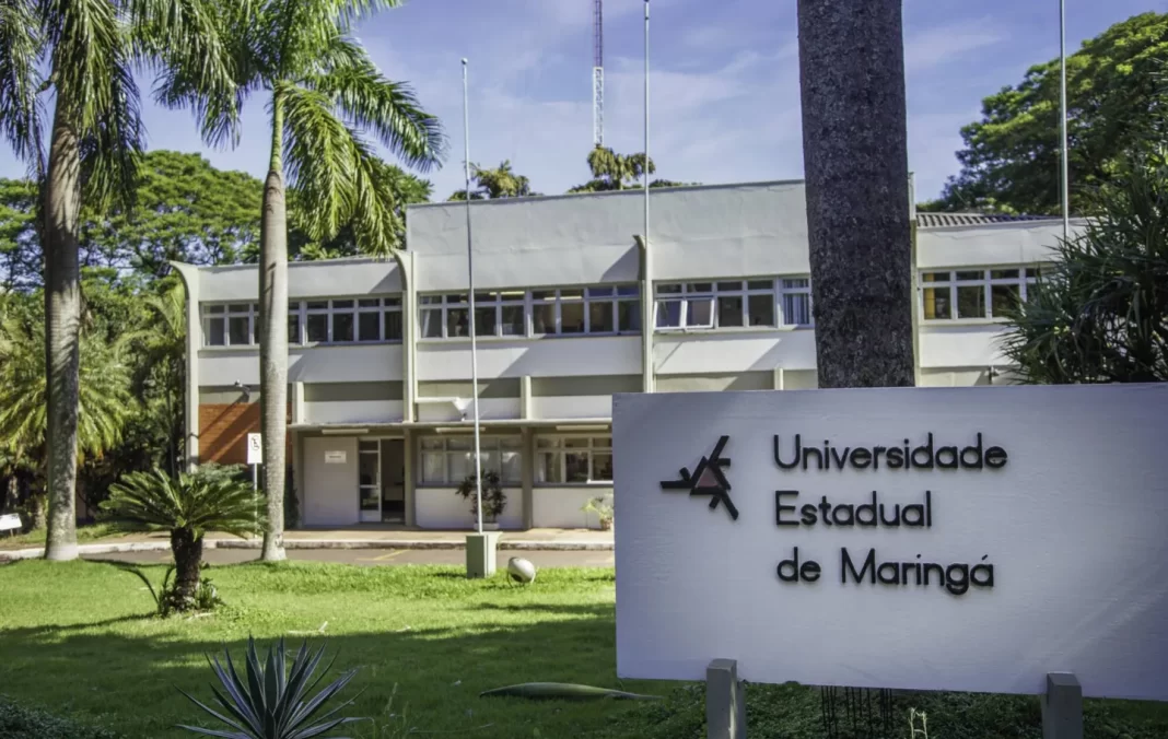 uem-maringa