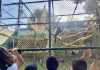 Alunos surdos de classes bilÃngues da Prefeitura visitam o Zoo de Guarulhos